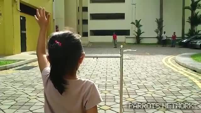 آموزش طوطی سانان توسط دختر 4 ساله