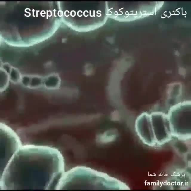 باکتری استرپتوکوک
