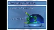 ترجمه-فرآیندهای سلولی18(Molecular Processes_ Translation)