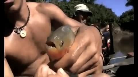 حمله ماهی پیرانا به مرد!
