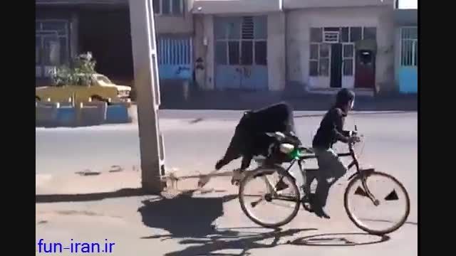 پشتک زدن گاو عصبانی که میخواست دوچرخه سوار رو بزنه