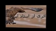 پرنده_احسان خواجه امیری