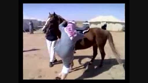 سواری ندادن اسب به عرب ..آخر خنده..