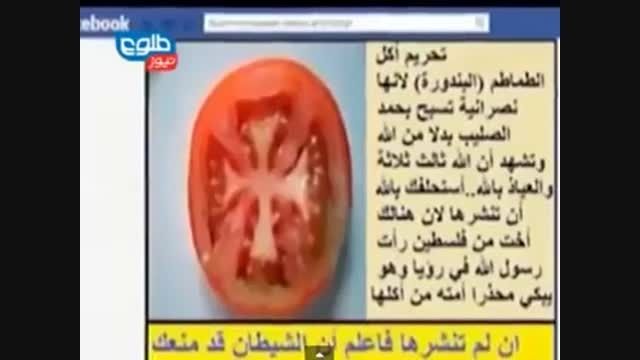 علمای وهابی می گویند خوردن گوجه فرنگی حرام است