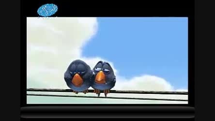 انیمیشن پرنده ها