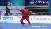 ووشو ، ووشو ، مسابقات داخلی چین فینال گوون شو