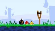 angry birds funny video!