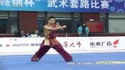 ووشو ، مسابقات داخلی چین فینال نن چوون ، وان دی ین