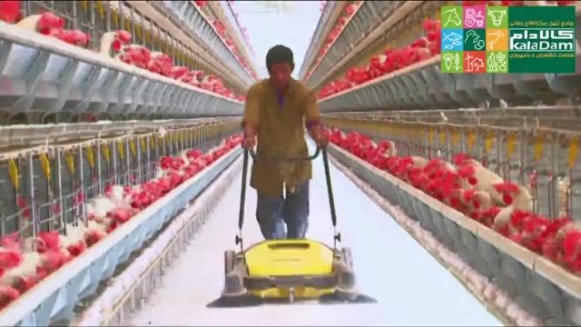تجهیزات پیشرفته در مرغداری مرغ تخم گذار در هند