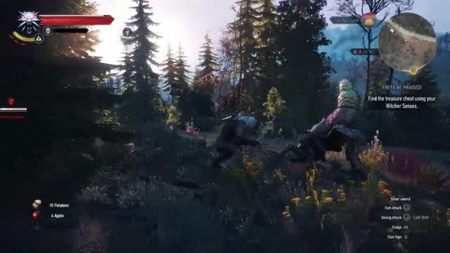 گیم پلی مبارزه The Witcher 3 : Wild Hunt