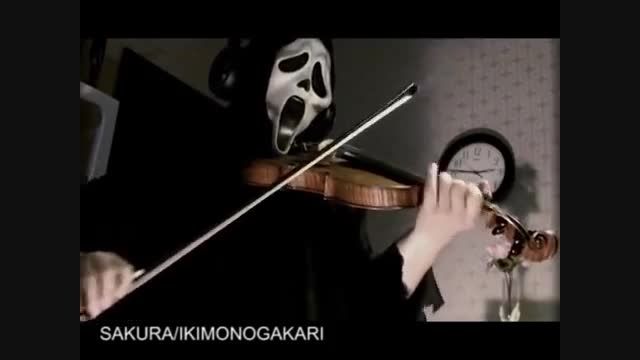 played with violin &quot; SAKURA &quot;  Ikimono-gakari