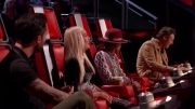 taylor in the voice