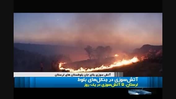 آتش سوزی در جنگلهای بلوط  زاگرس