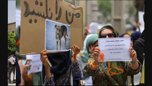تجمع مردم شیراز مقابل سگ کشی=امیر =Amir-team