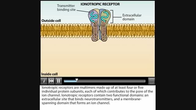 انواع گیرنده های سلولی(receptors)