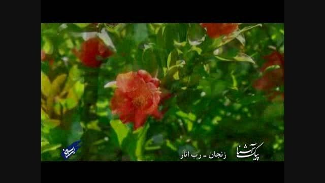 پیک آشنا (زنجان - رب انار)