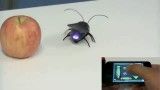 با Roachbot سوسک هوشمند کنترل از راه دور آشنا شوید