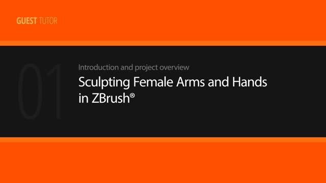 Sculpting Female Arms and Hands in ZBrush