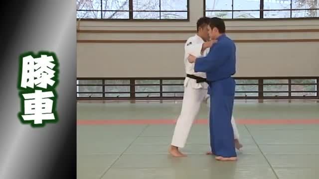 Judo Basics-hiza sha