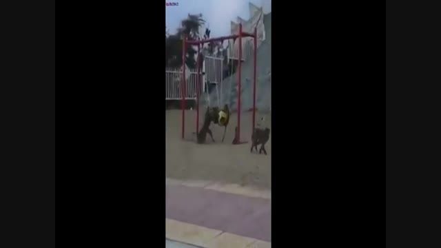 پارک کودکان در اشغال میمونها_فیلم ویدیو کلیپ باحال