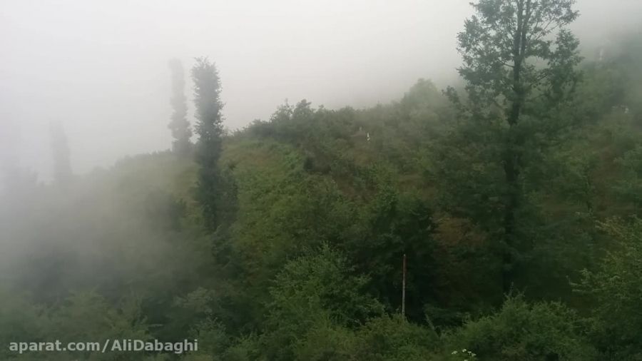 ارتفاعات جنگل دو هزار مازندرانHD