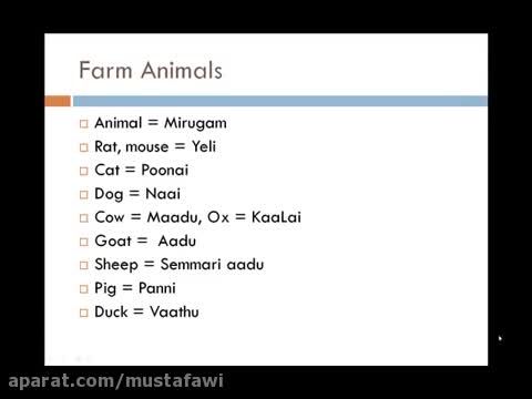 آموزش زبان انگلیسی نام حیوانات وپرندگان در زبان انگلیسی
