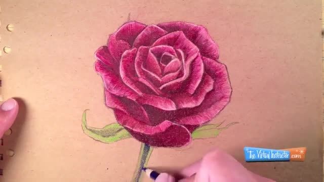 نقاشى گل رز بسیار بسیار زیبا