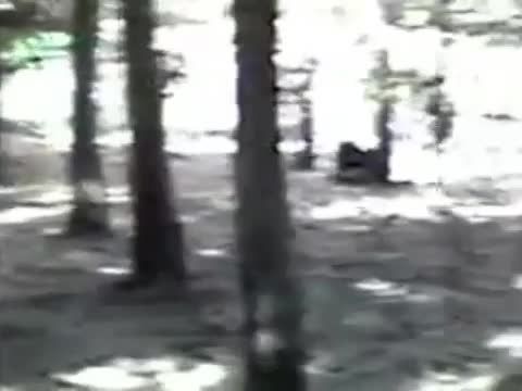 فیلم دیده شدن آدم کوتوله در جنگل(100℅واقعی)