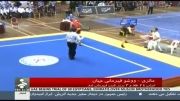 ووشو ساندای ایران با هفت مدال طلا نائب قهرمان جهان شد
