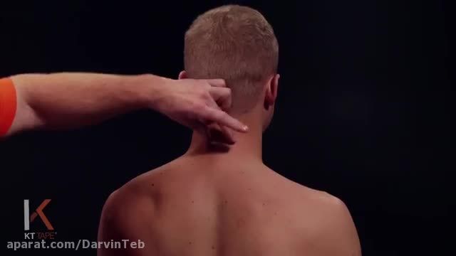 روش بستن چسب کینزیو برای گردن -Darvinteb.com داروین طب