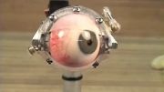 دستیابی به ساخت چشم انسان BBC-Datalive.ir