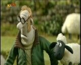 گوسفند های زبل 1