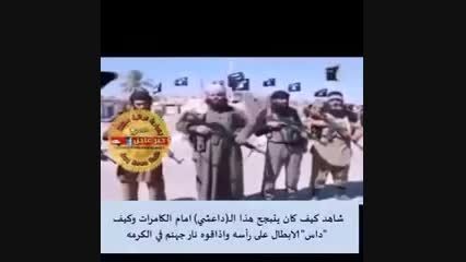 عاقبت سلفی(535)-سوریه-عراق-یمن