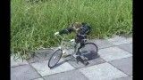 حرکت شگفت انگیز ربات دوچرخه سوار
