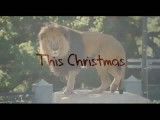 آنونس فیلم - ما یک باغ وحش خریدیم - ویژه کریسمس