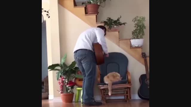 انتقام گرفتن گربه از صاحبش