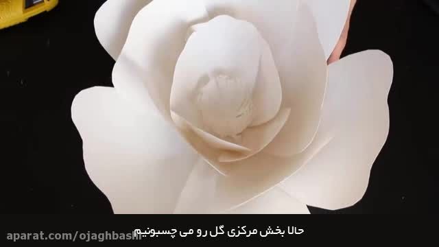 گل رز کاغذی غول پیکر