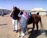 سوار شدن مرد سعودی بر اسب