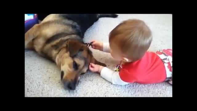 کودک و سگ هم بازی هم شدند...!