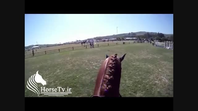 سوارکار ایرانی در مسابقات پرش با اسب خارجی