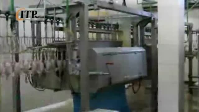 صنعت مرغداری و کشتار در هندوستان