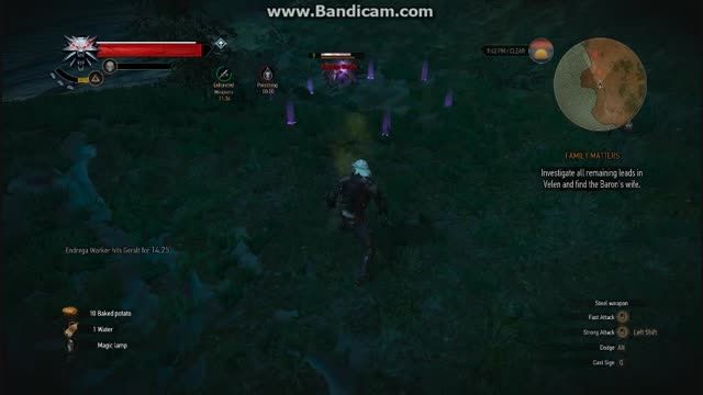 کشتن دو فروند عنکبوت موزی در The Witcher 3