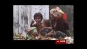 کشتار فجیع مسلمانان امری پیش پاافتاده برای بی بی سی!