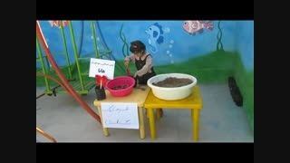 کاشت بذر بلوط توسط بچه های مهد کودک