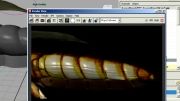رجینگ حشرات   - انیمیشن سازی در مایاcaracter  rigging insect