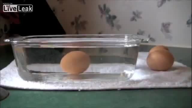 روش تشخیص تخم مرغ سالم