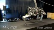 چیتا - سریع ترین روبات دنیا