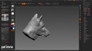 wolf in zbrush