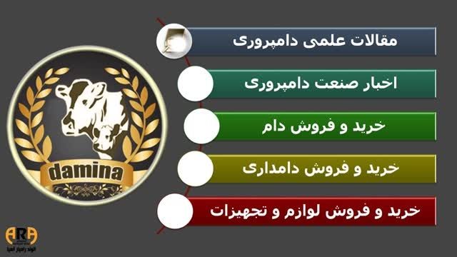 دامینا (شبکه دامپروری ایران )