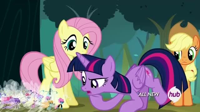 the ponies is butter fly